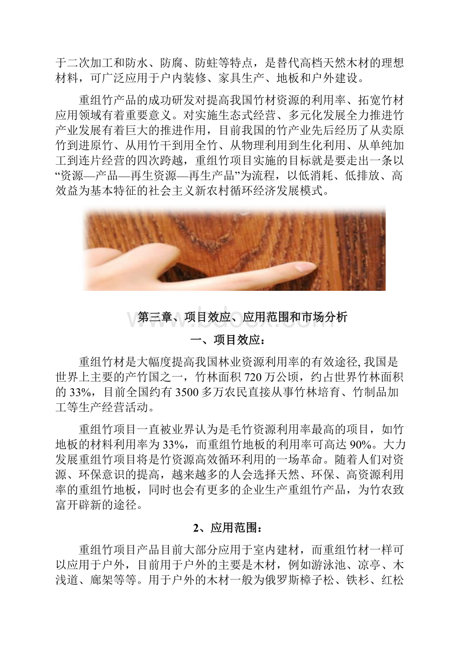 重组竹子项目建议书.docx_第3页