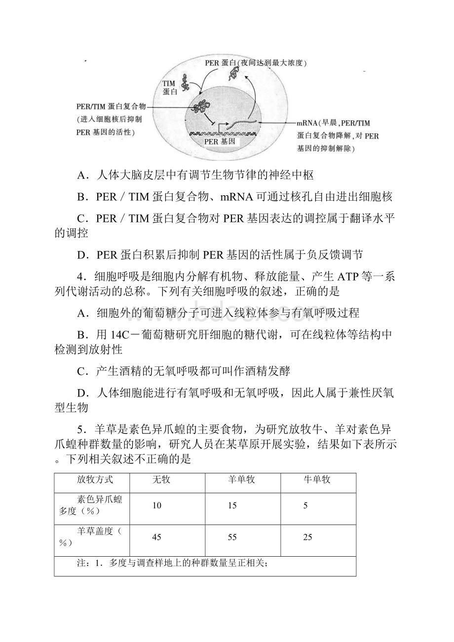 吉林省名校届高三下学期第一次联合模拟考试理科综合试题 Word版含答案.docx_第2页