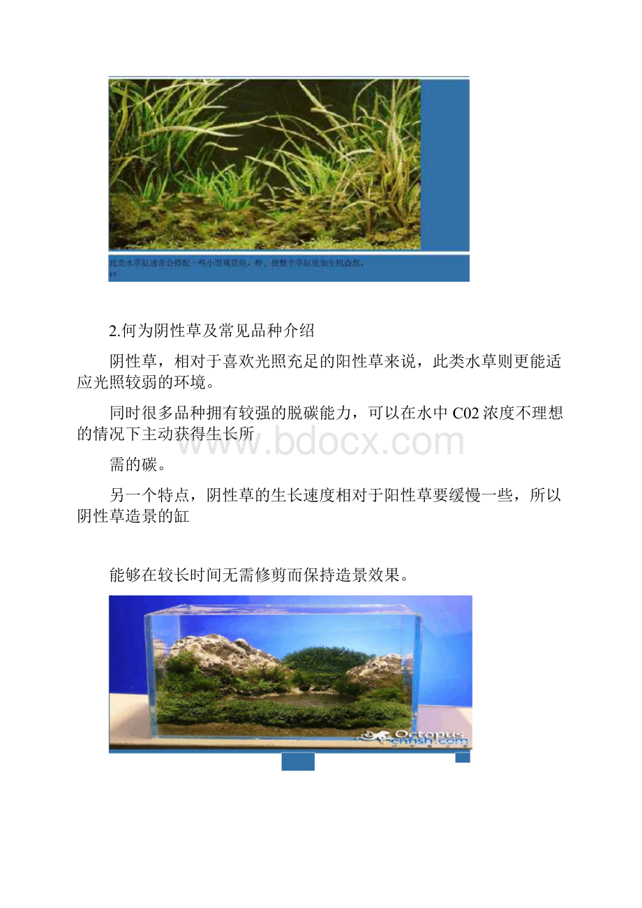 完整版阴性草水草缸是怎么炼成的1.docx_第2页