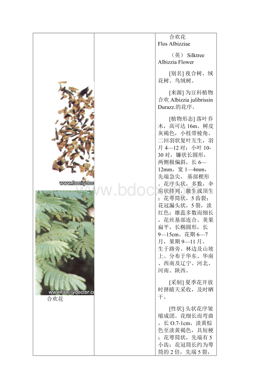 常见中草药花类.docx_第3页