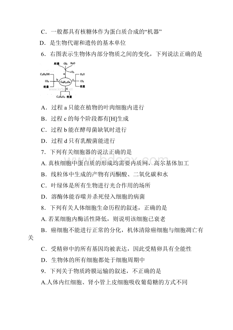 河南省洛阳市高三上学期第一次统一考试 生物.docx_第2页