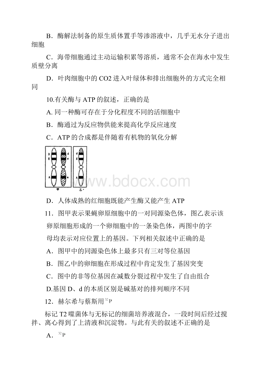 河南省洛阳市高三上学期第一次统一考试 生物.docx_第3页