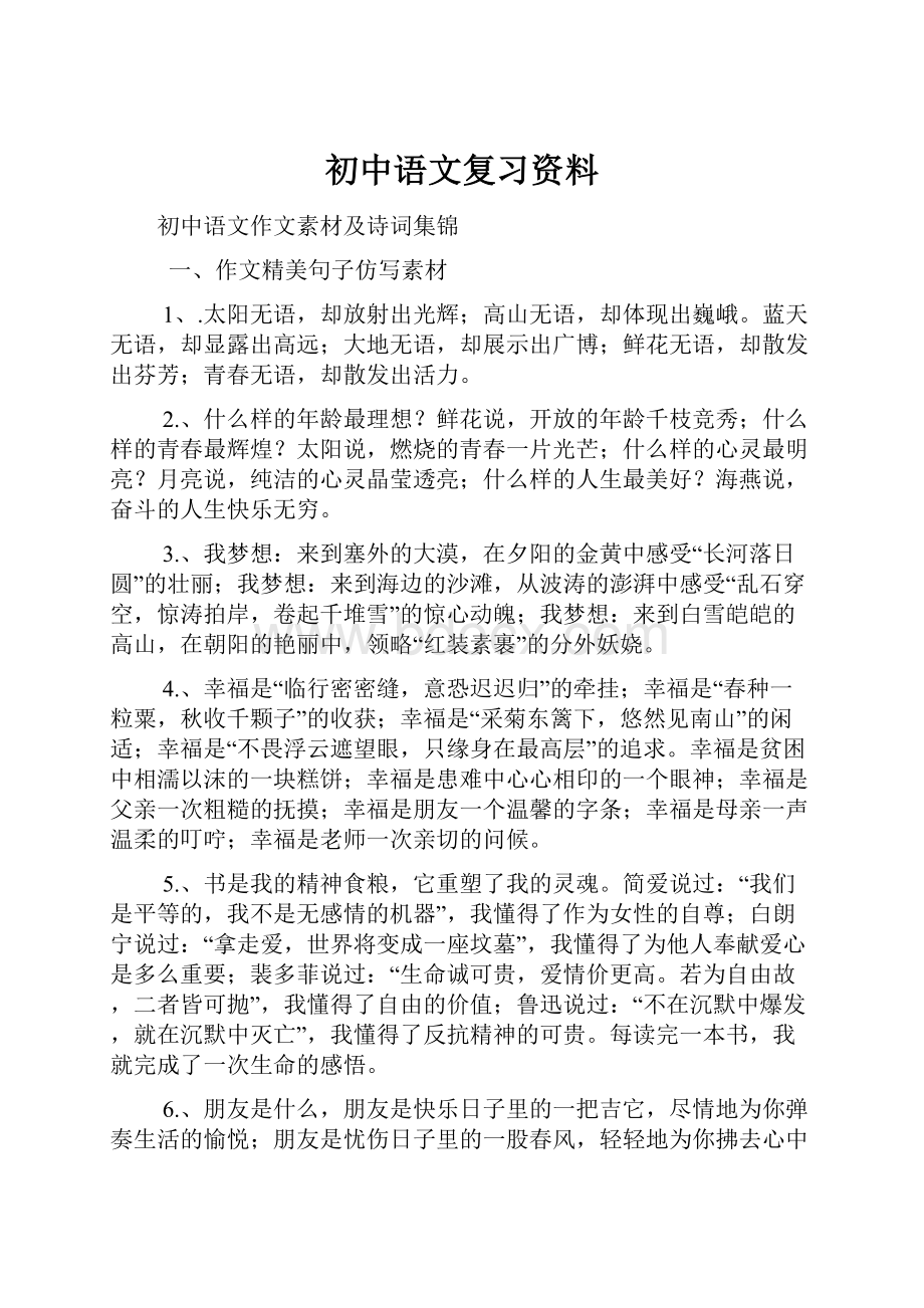 初中语文复习资料.docx