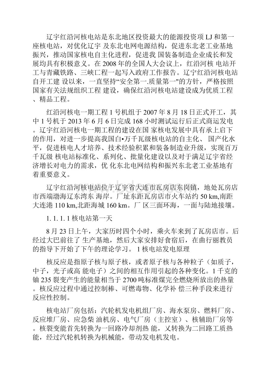 新能源科学与工程生产实习报告.docx_第3页