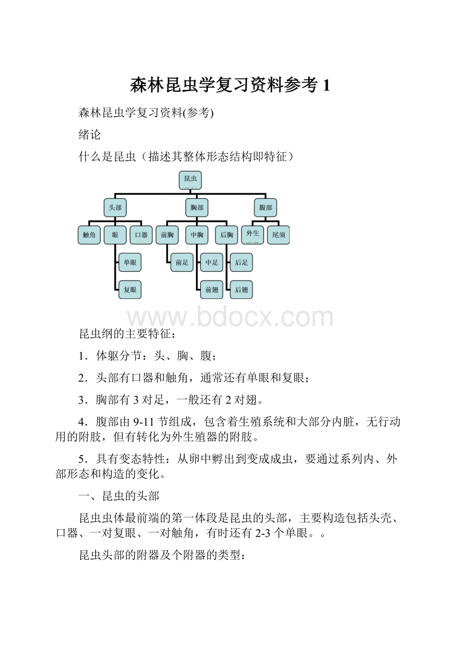 森林昆虫学复习资料参考1.docx