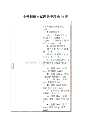 小升初语文试题分类精选 36页.docx