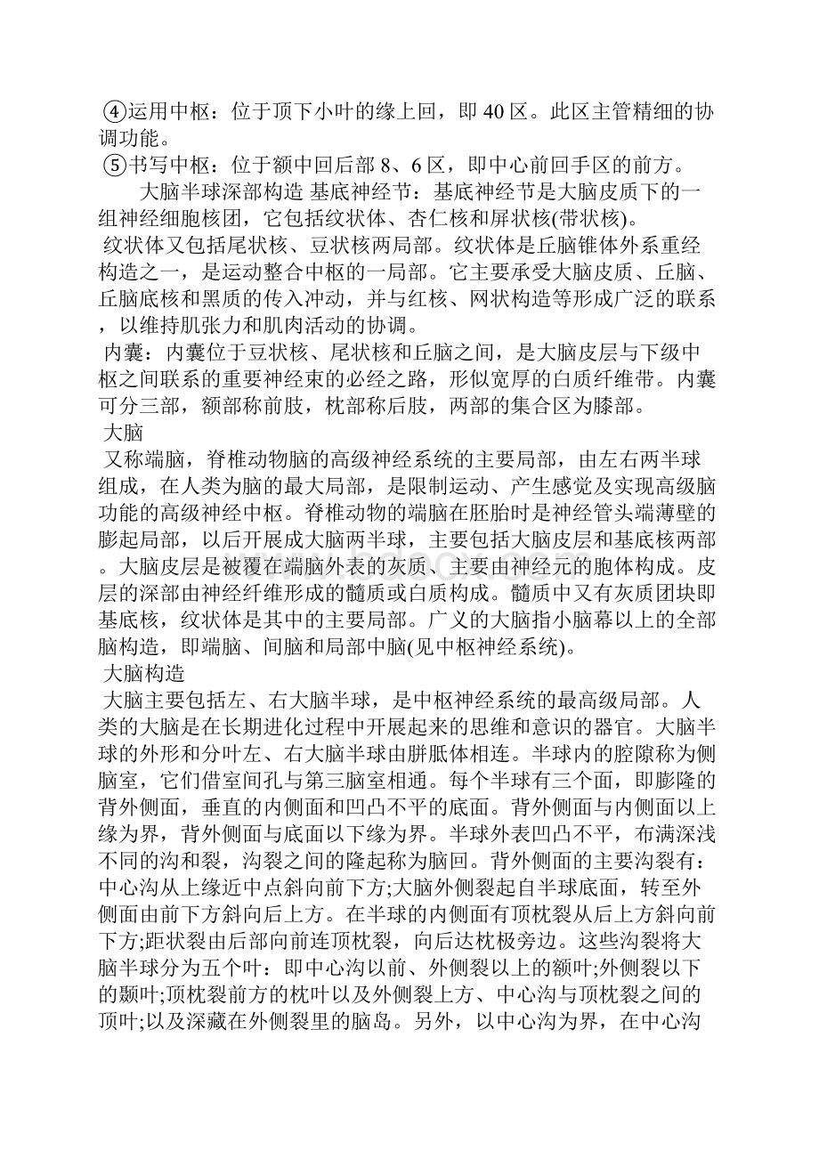 大脑的结构和功能分区详解人脑构造与功能.docx_第3页