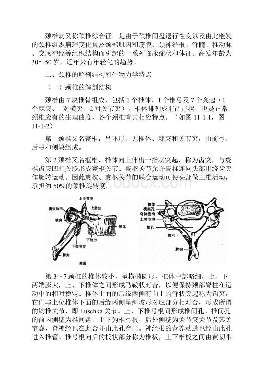 颈椎病的康复.docx_第2页