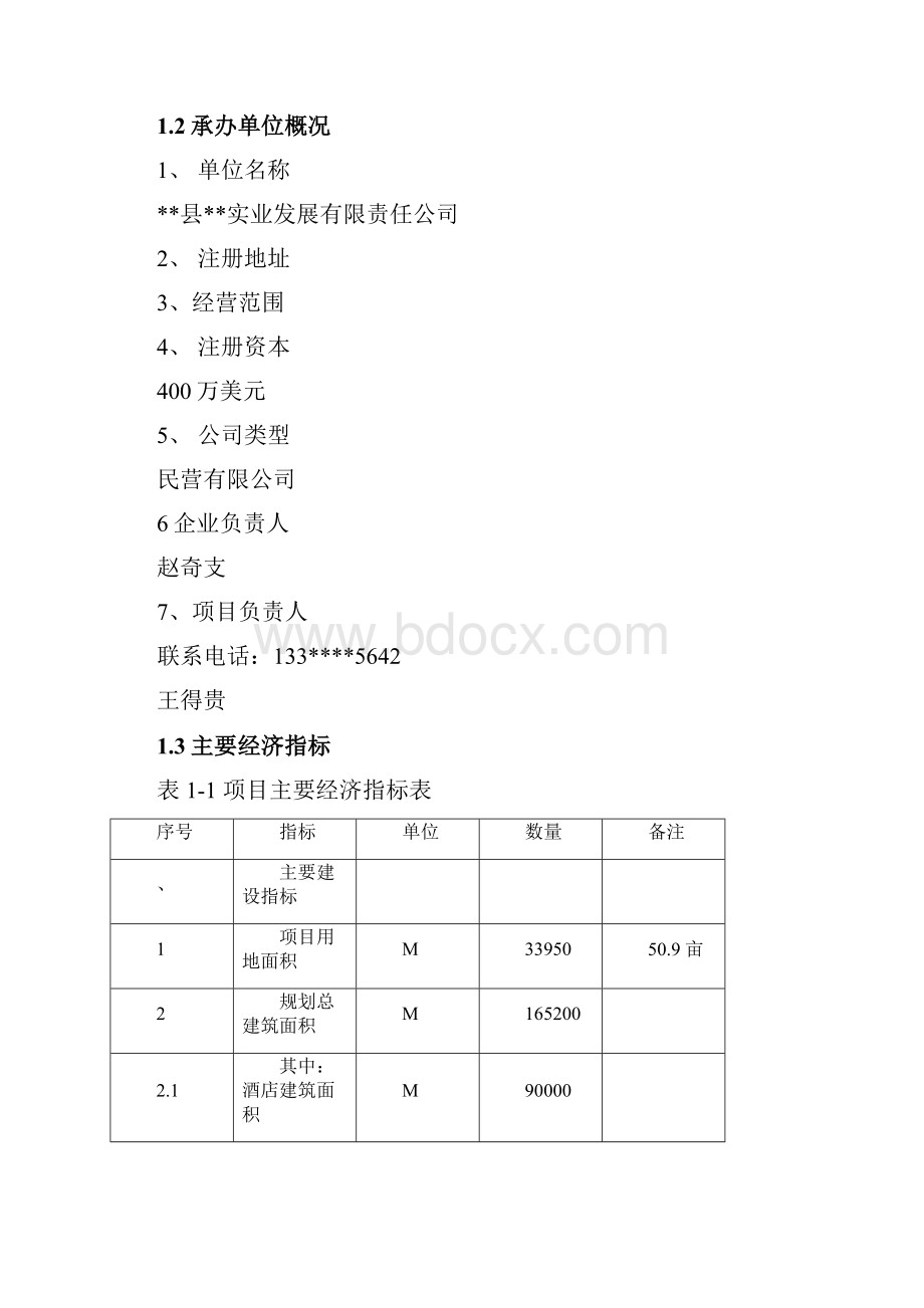 国际大酒店项目可行性研究报告.docx_第2页