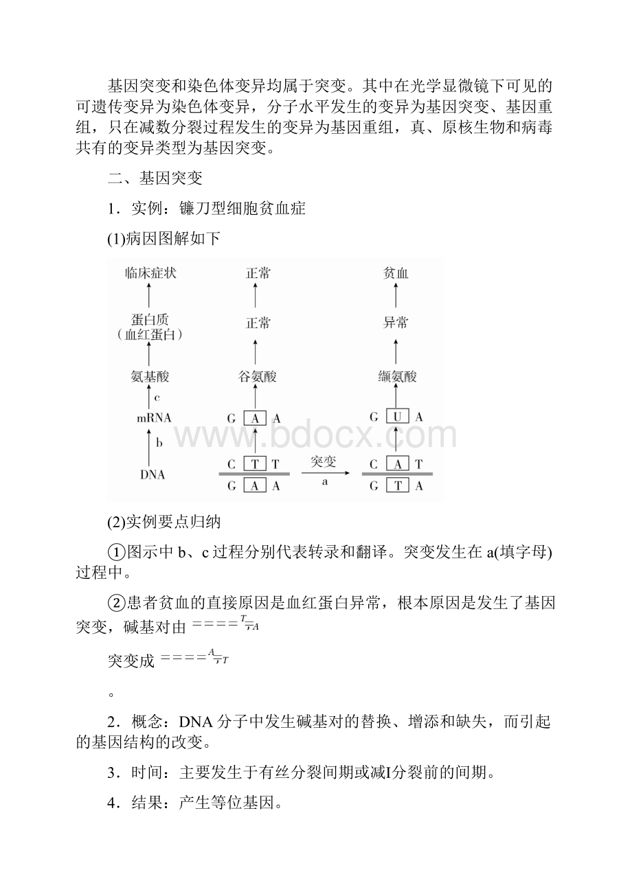 届一轮复习人教版第22讲基因突变和基因重组 学案.docx_第2页