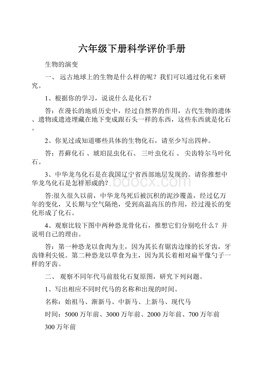 六年级下册科学评价手册.docx