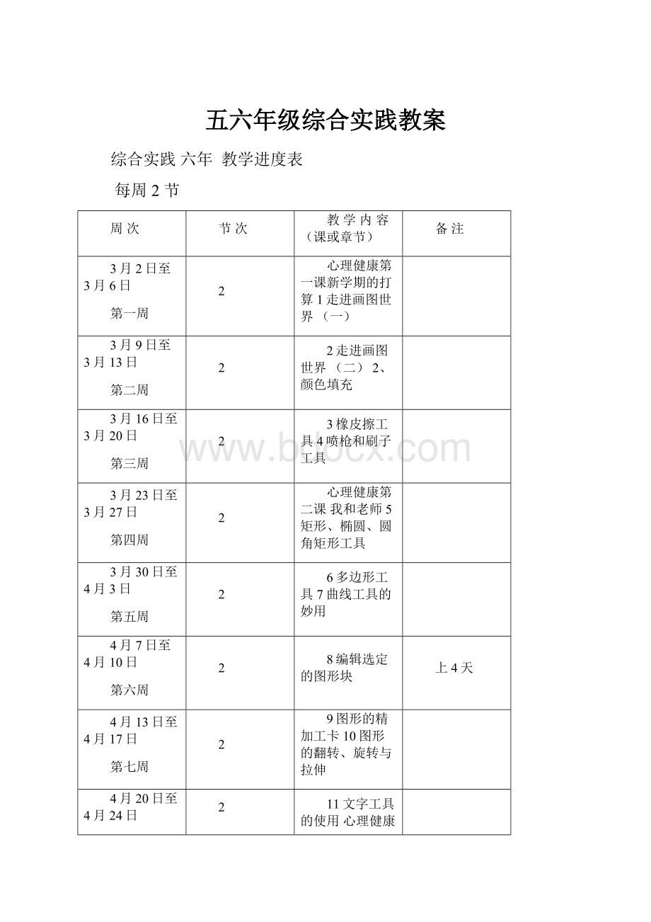 五六年级综合实践教案.docx