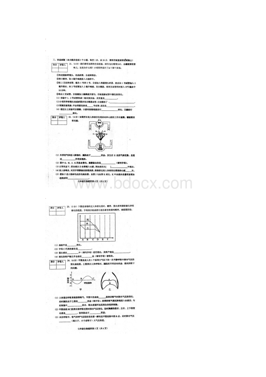 最新初中生物山东省菏泽市学年七年级生物下册期中测试题 精品.docx_第3页