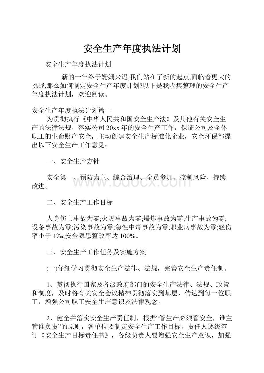 安全生产年度执法计划.docx