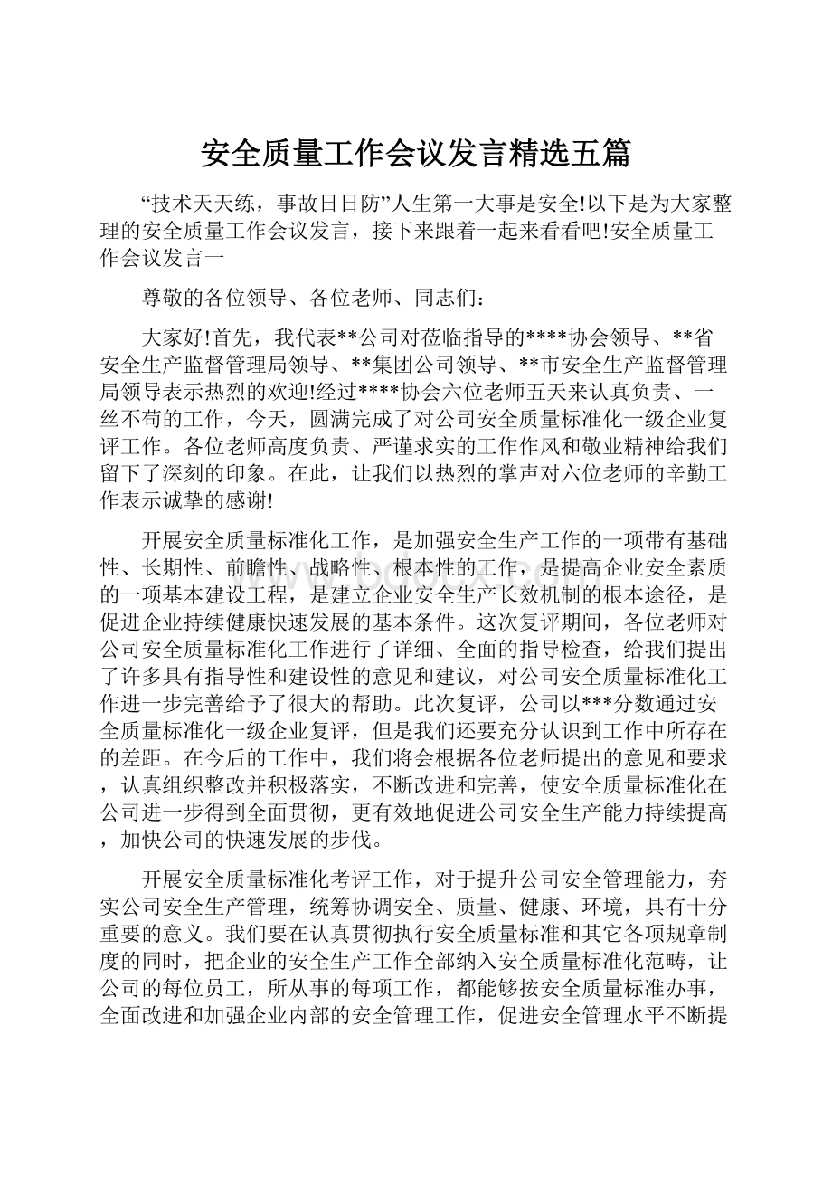 安全质量工作会议发言精选五篇.docx