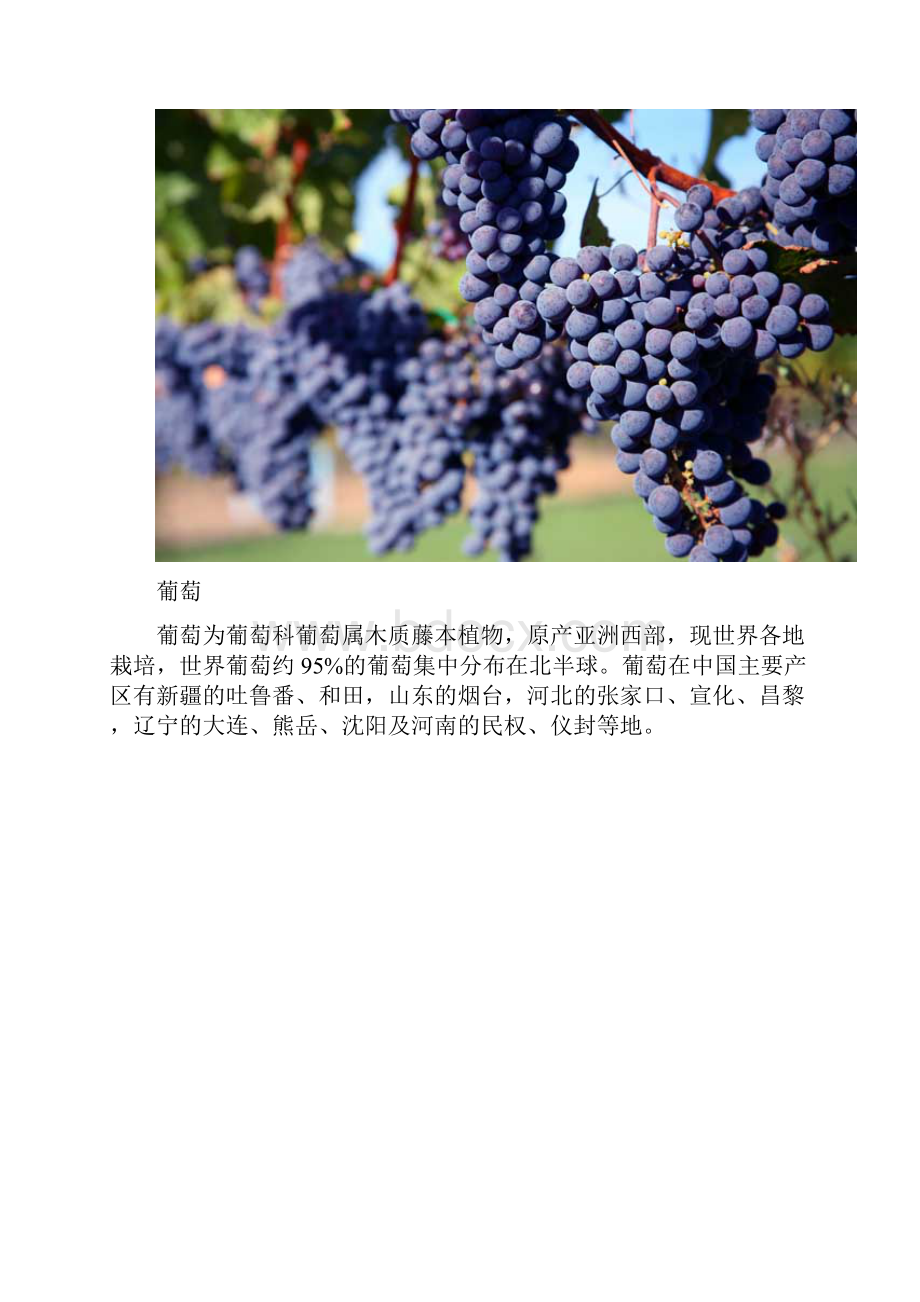 一年四季每月适宜种植的水果品种.docx_第3页