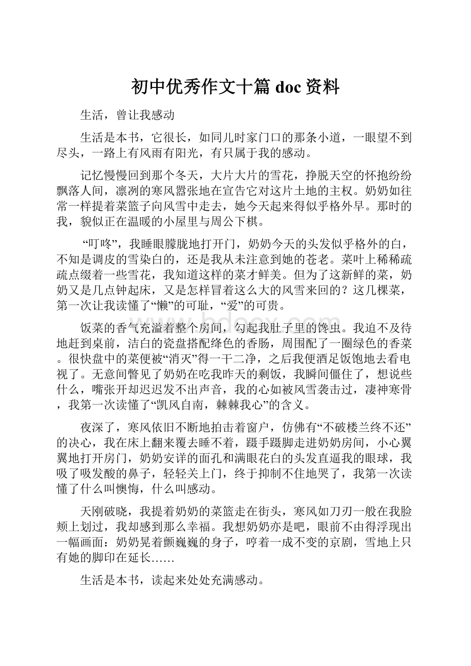 初中优秀作文十篇doc资料.docx