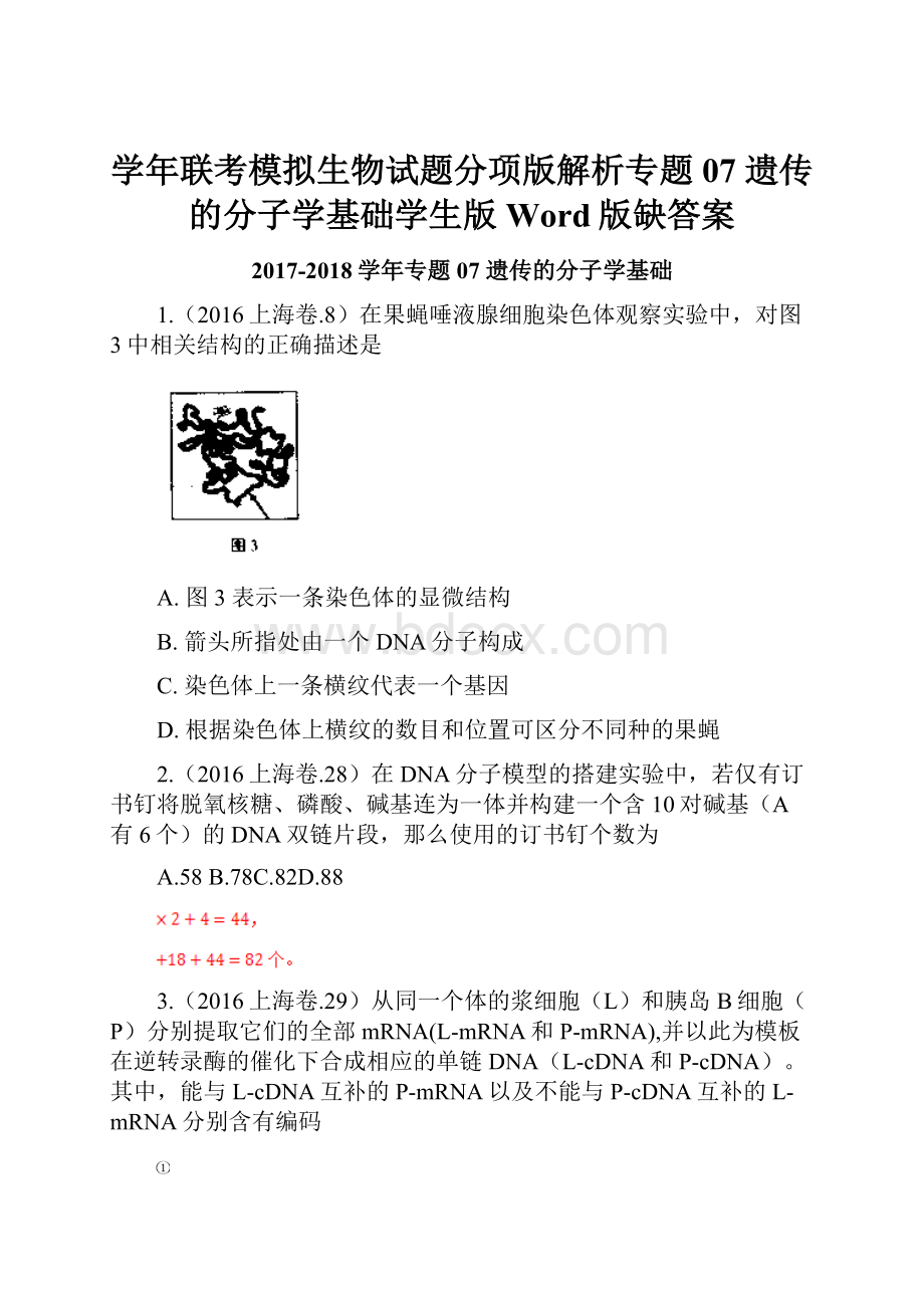 学年联考模拟生物试题分项版解析专题07 遗传的分子学基础学生版 Word版缺答案.docx