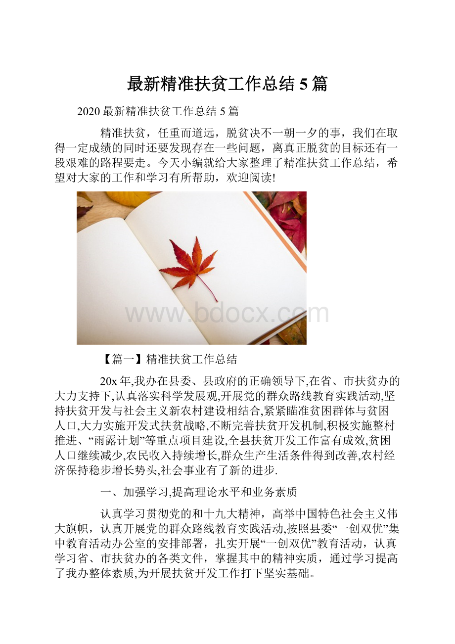 最新精准扶贫工作总结5篇.docx