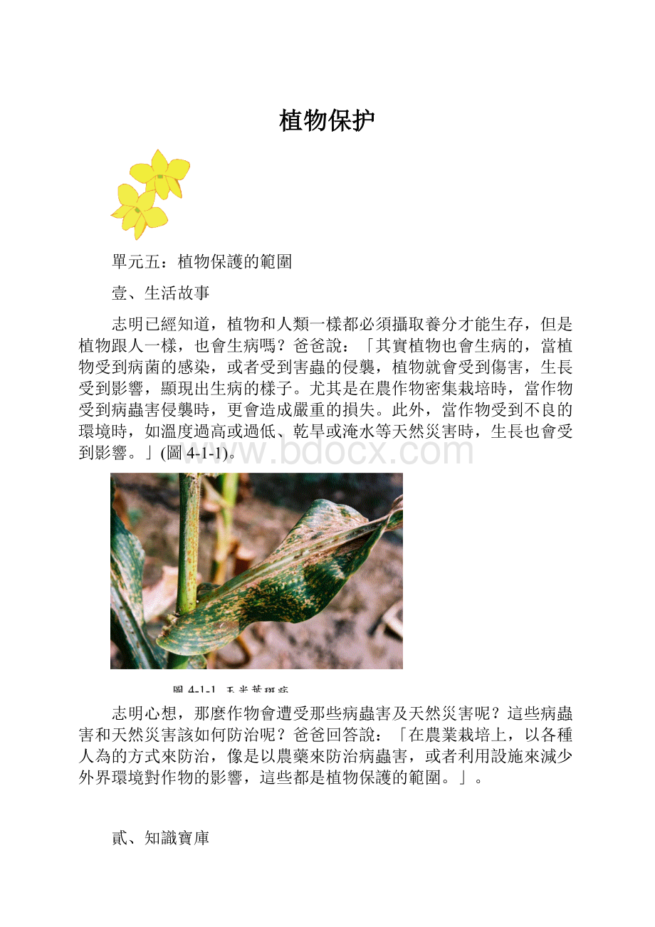 植物保护.docx