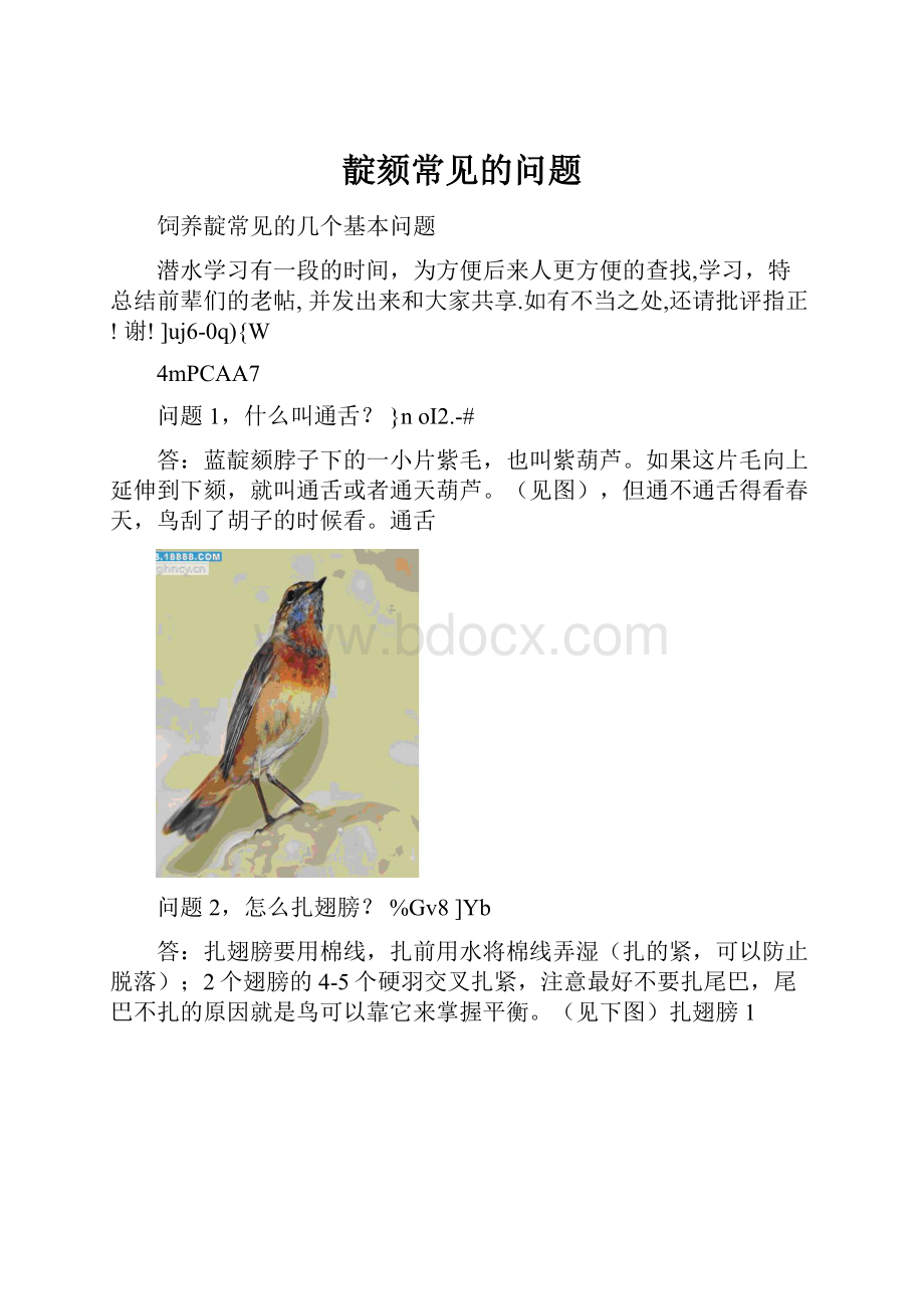 靛颏常见的问题.docx_第1页