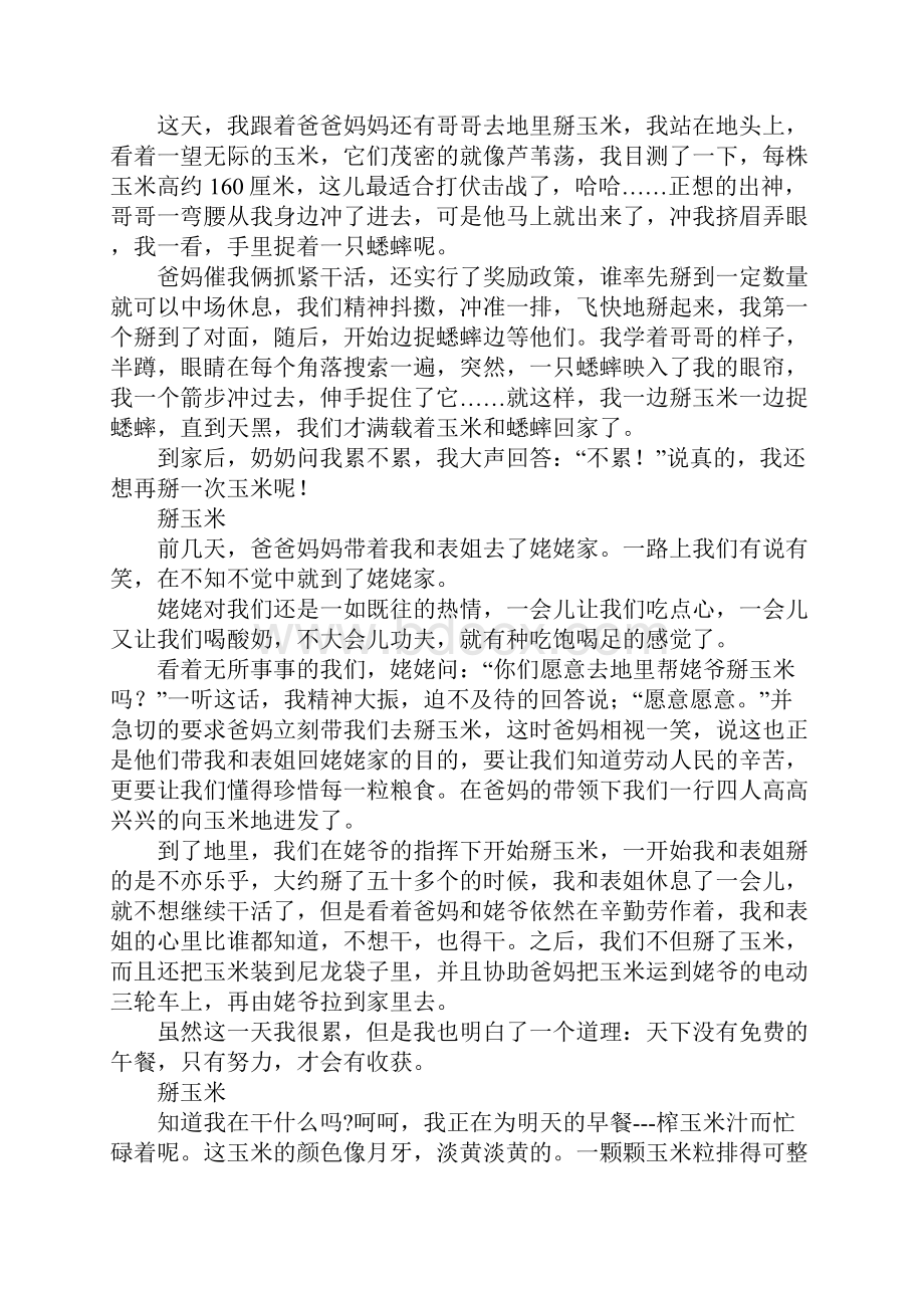 掰玉米作文500字400字300字200字.docx_第2页