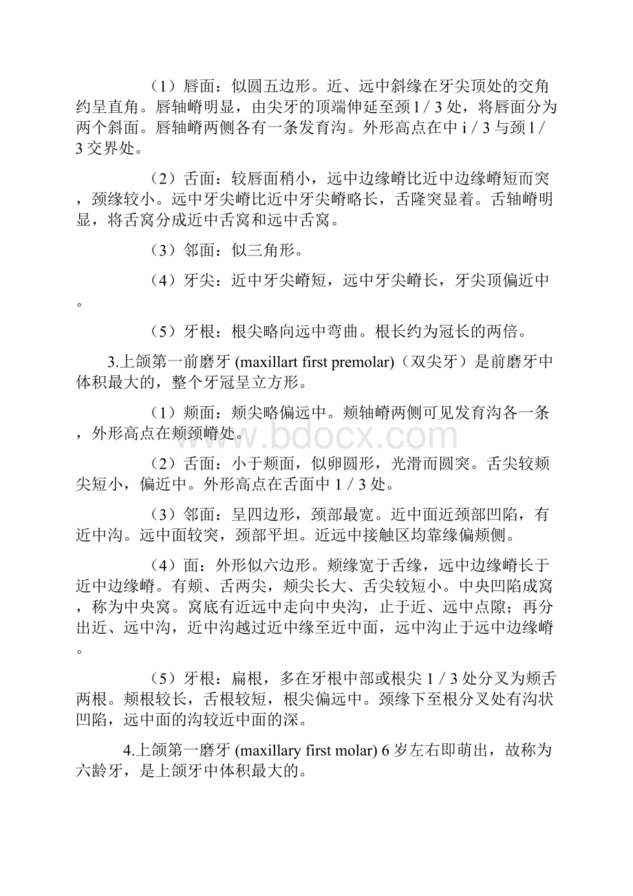 口腔解剖生理学复习重点.docx_第3页