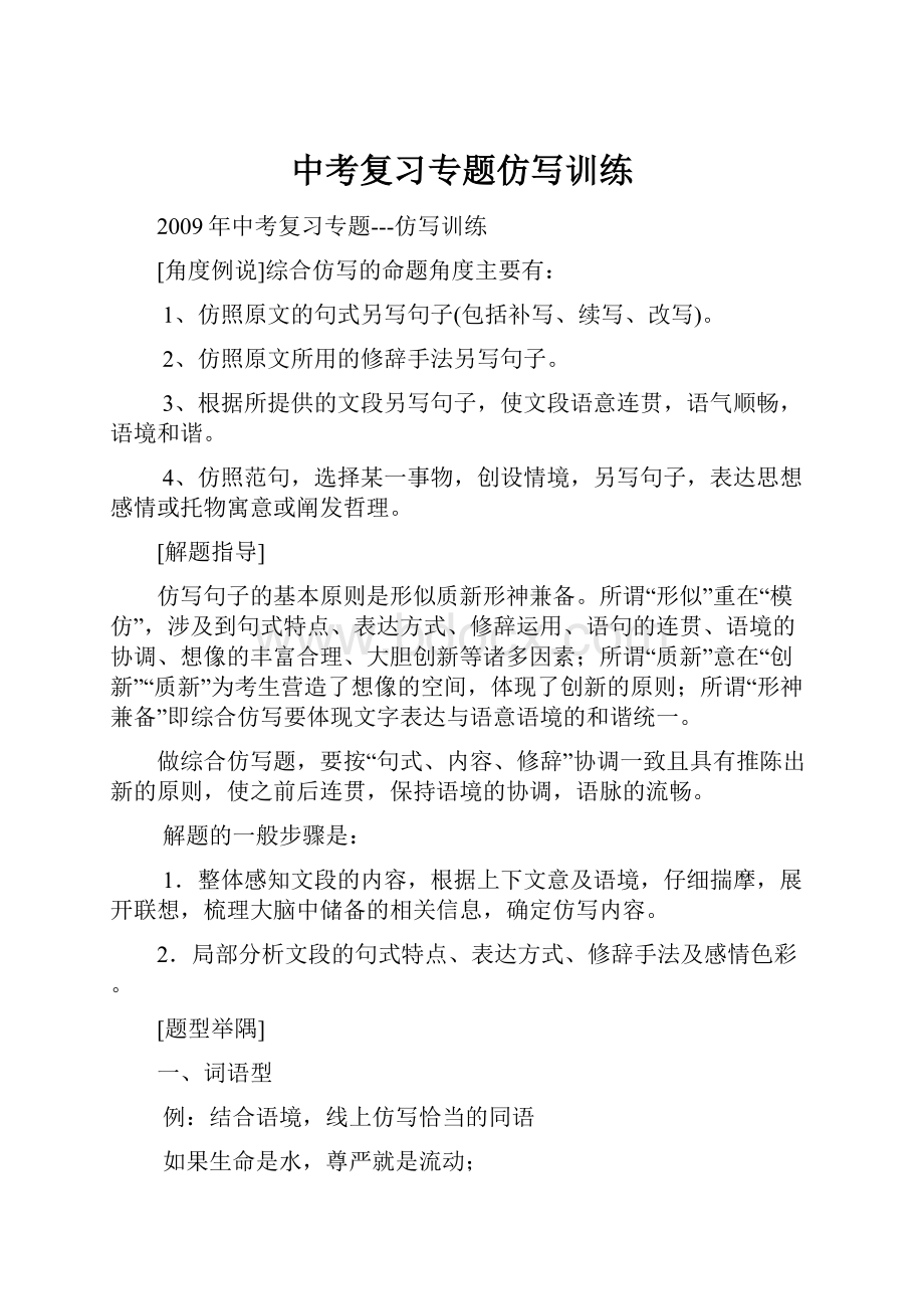 中考复习专题仿写训练.docx_第1页