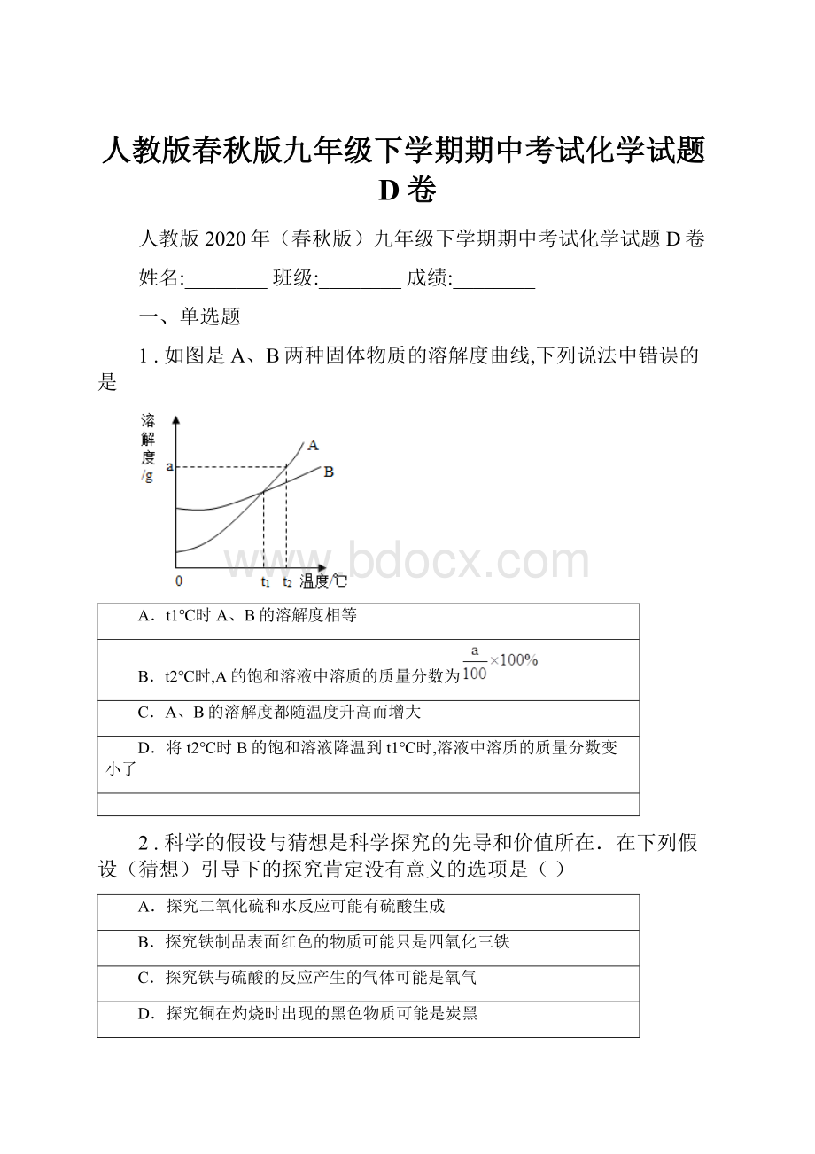 人教版春秋版九年级下学期期中考试化学试题D卷.docx