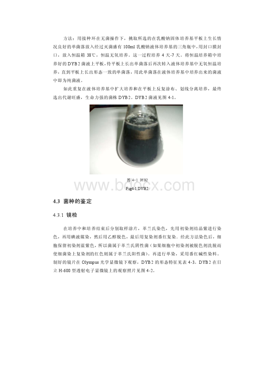 脱硫异氧菌DYB2的培养及j性能测定.docx_第3页