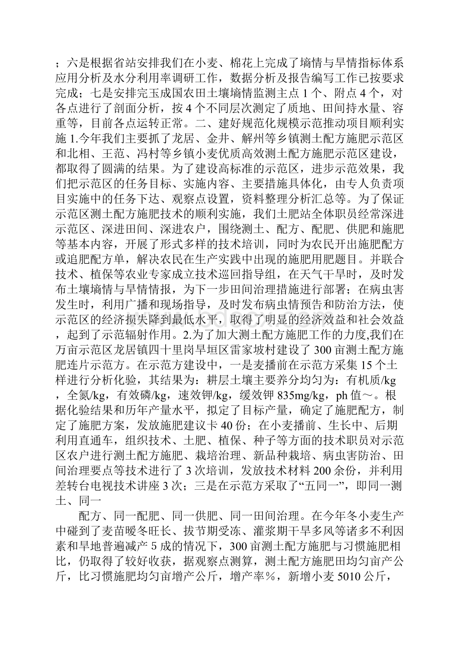 销售农业肥料工作总结.docx_第2页