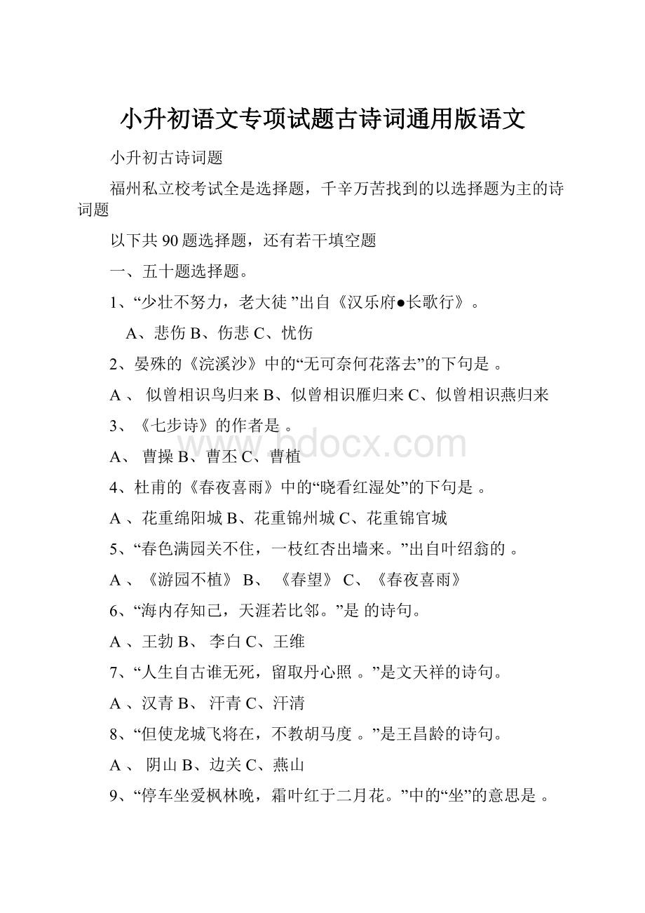 小升初语文专项试题古诗词通用版语文.docx