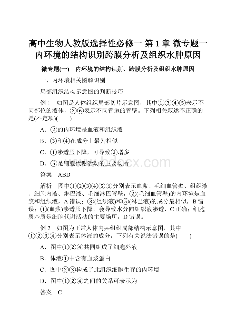 高中生物人教版选择性必修一 第1章 微专题一 内环境的结构识别跨膜分析及组织水肿原因.docx