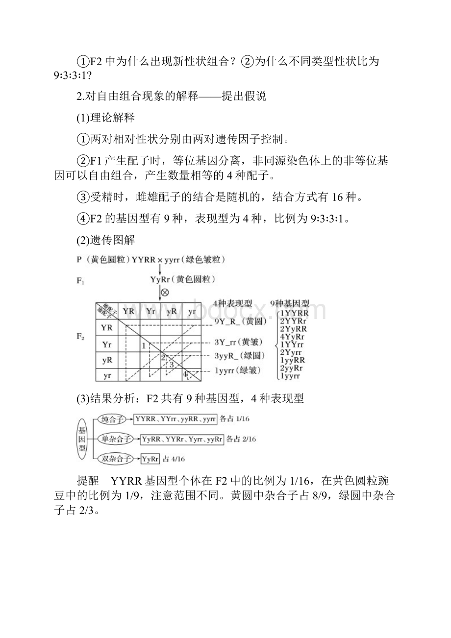 第19讲 基因的自由组合定律高考生物一轮复习名师精讲练新高考地区专用.docx_第2页