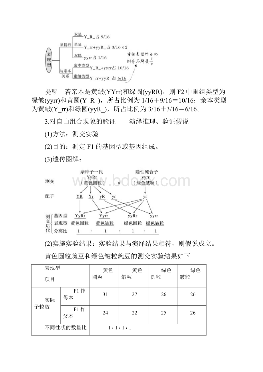 第19讲 基因的自由组合定律高考生物一轮复习名师精讲练新高考地区专用.docx_第3页