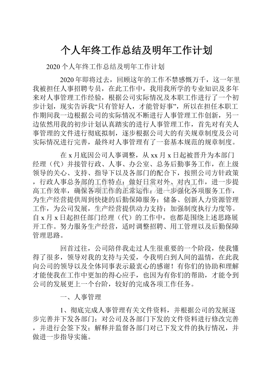 个人年终工作总结及明年工作计划.docx