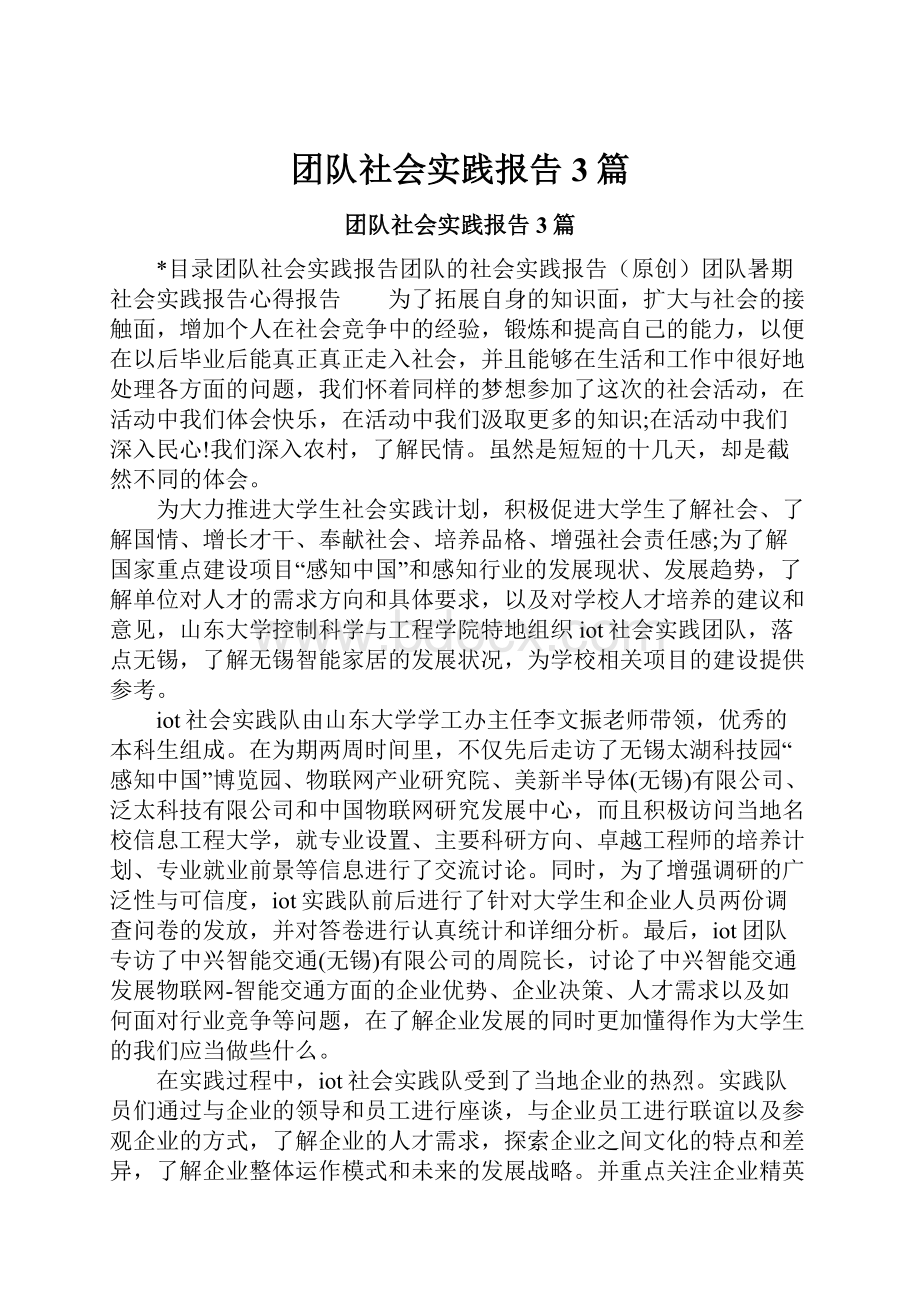 团队社会实践报告3篇.docx