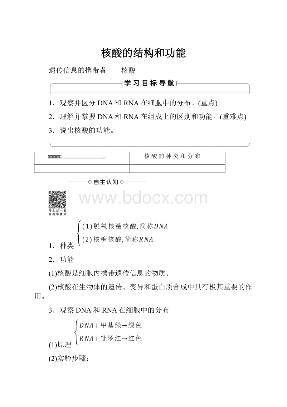 核酸的结构和功能.docx