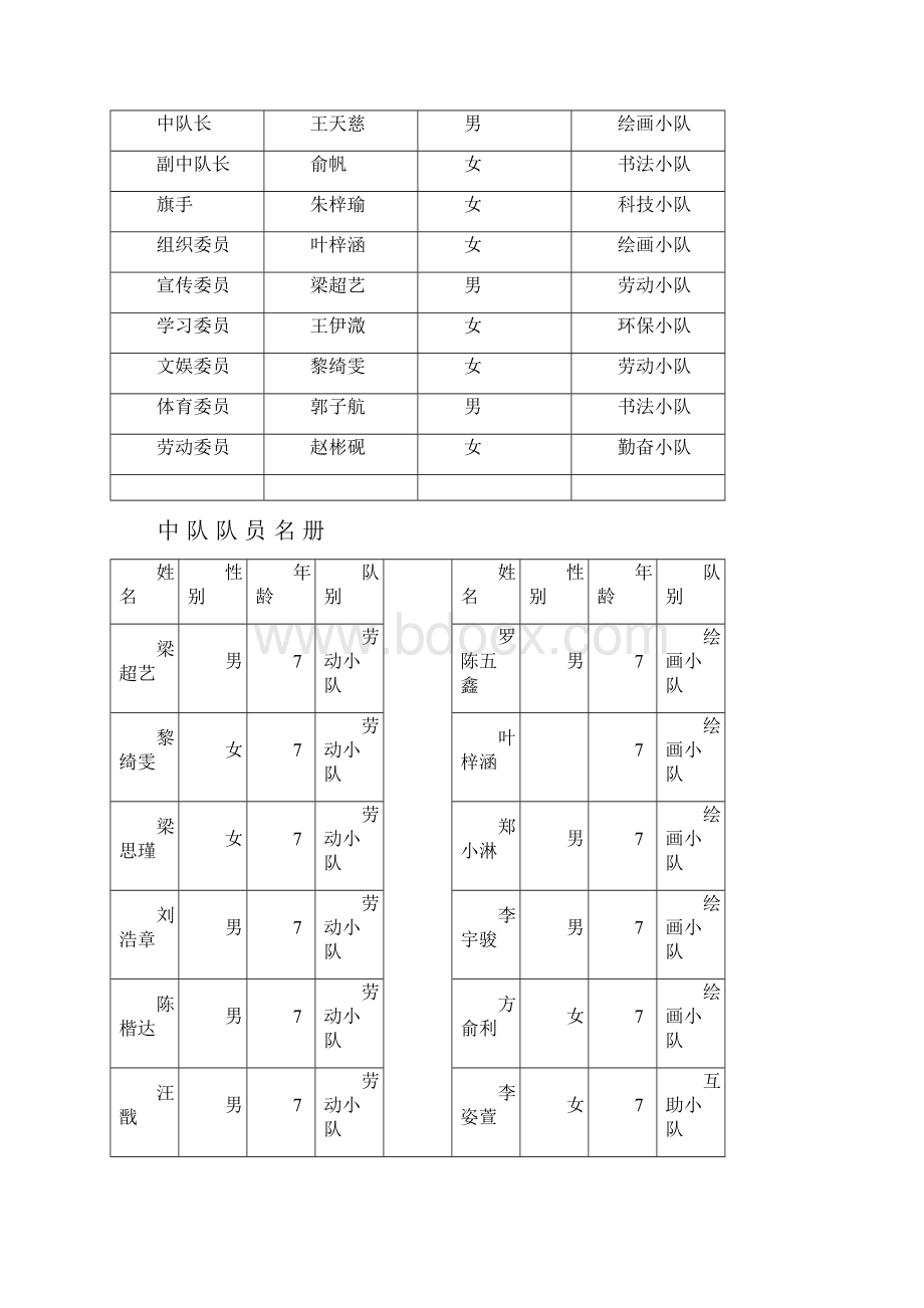 少先队中队工作手册.docx_第2页