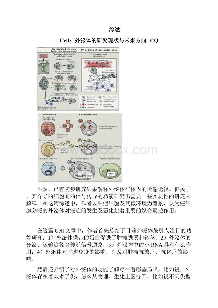 外泌体之家笔记.docx_第2页