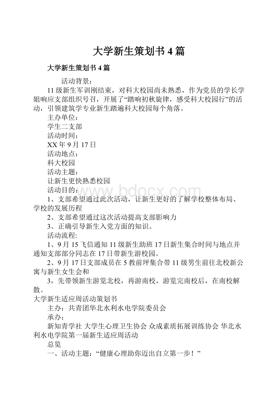 大学新生策划书4篇.docx