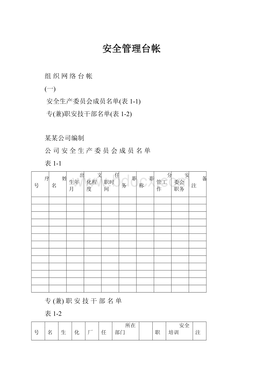 安全管理台帐.docx_第1页