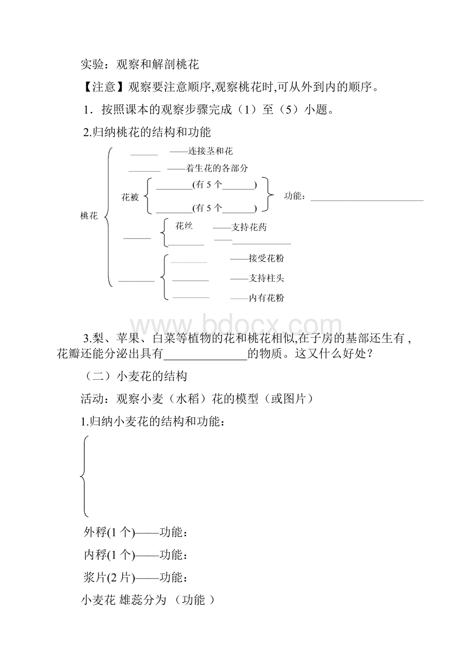 最新华师大版科学八下《植物的生殖与发育》教案.docx_第2页