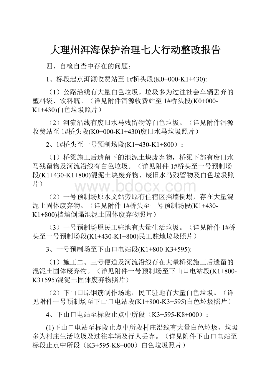 大理州洱海保护治理七大行动整改报告.docx_第1页