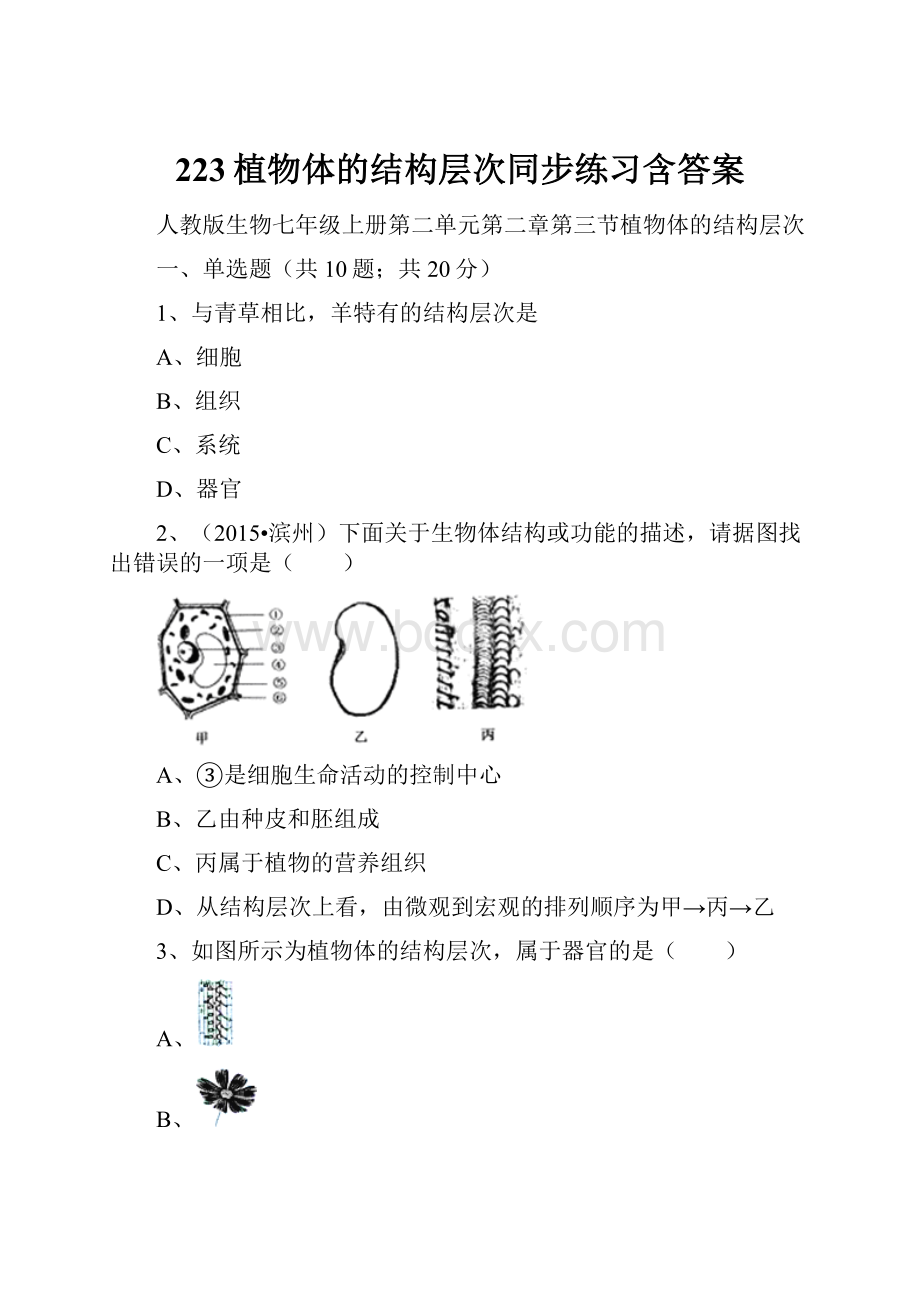 223植物体的结构层次同步练习含答案.docx