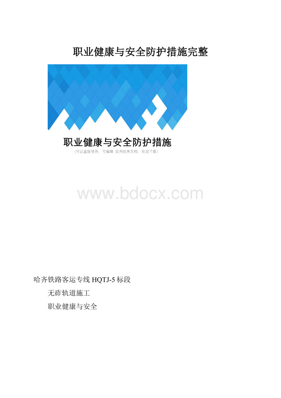 职业健康与安全防护措施完整.docx