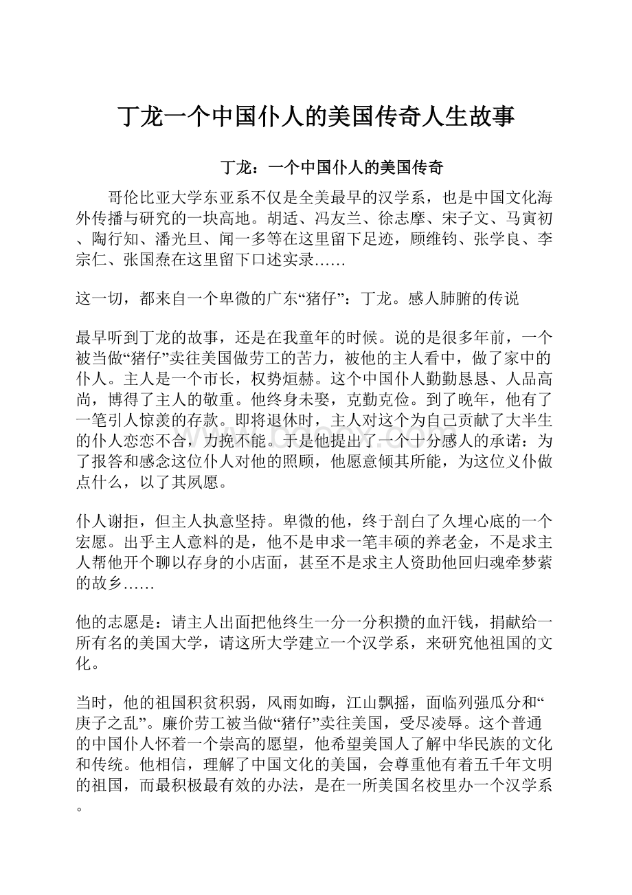 丁龙一个中国仆人的美国传奇人生故事.docx_第1页