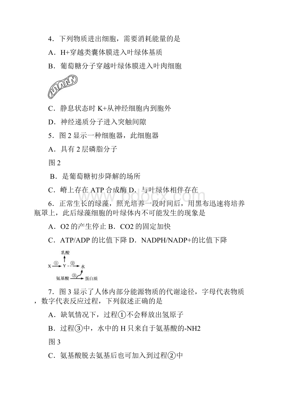 上海市虹口区届高三上学期期末教学质量监控测试生命科学试题.docx_第2页