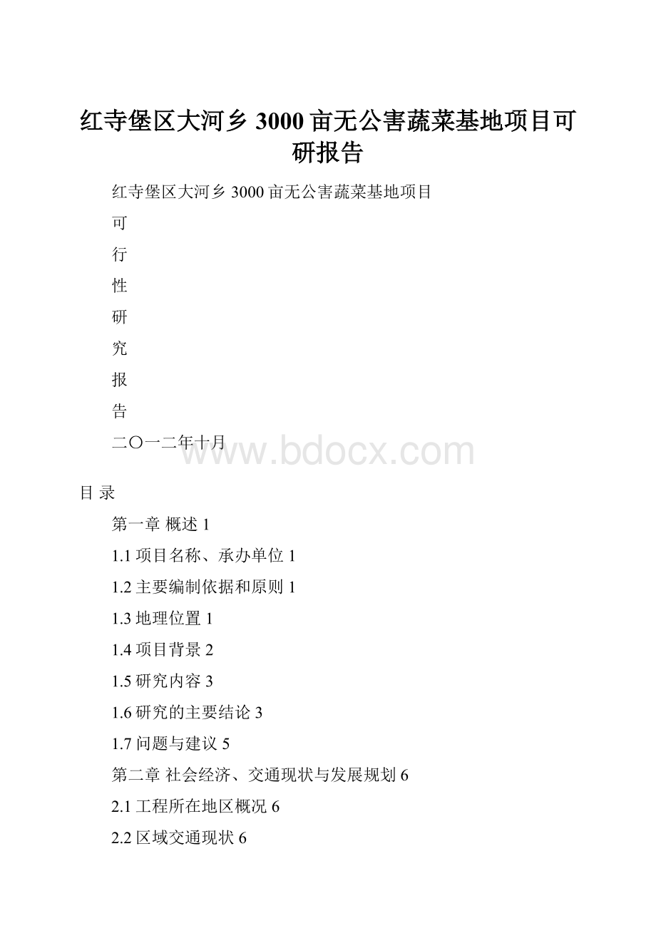 红寺堡区大河乡3000亩无公害蔬菜基地项目可研报告.docx