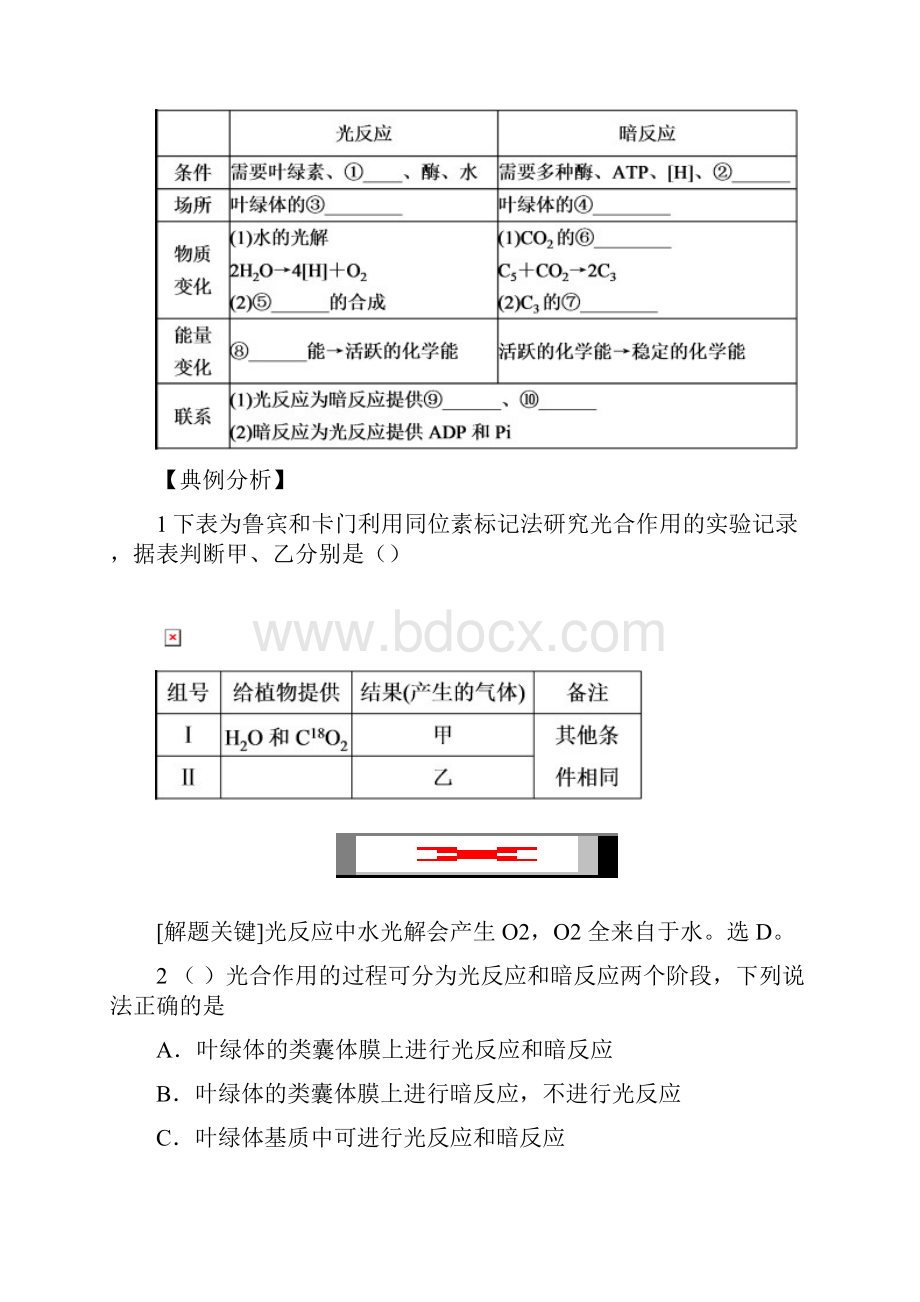 高考生物专题光合作用知识点及专题练习.docx_第2页